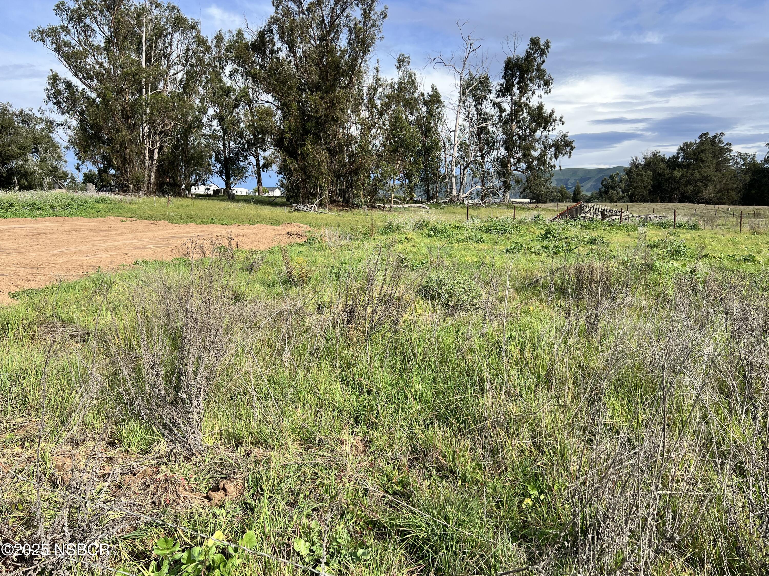 Grove Lane Nipomo, CA 93444 - Photo 6 of 10 a view of a yard with a trees