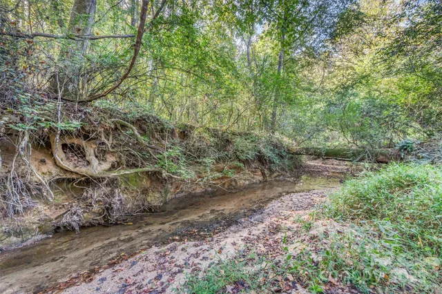 a backyard of a house with lots of green space and lake view