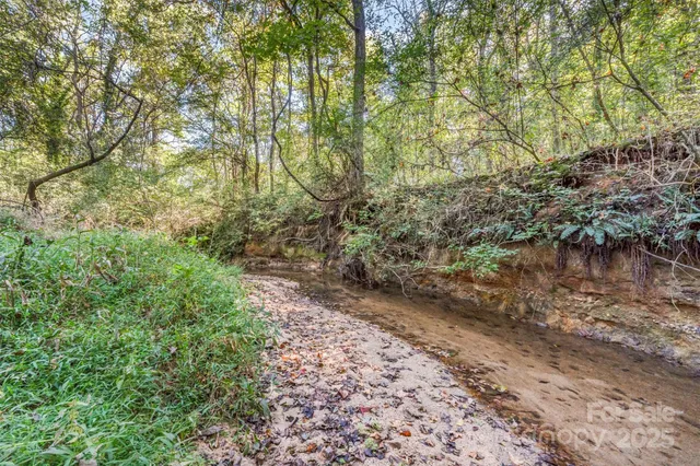 a view of a yard with a tree