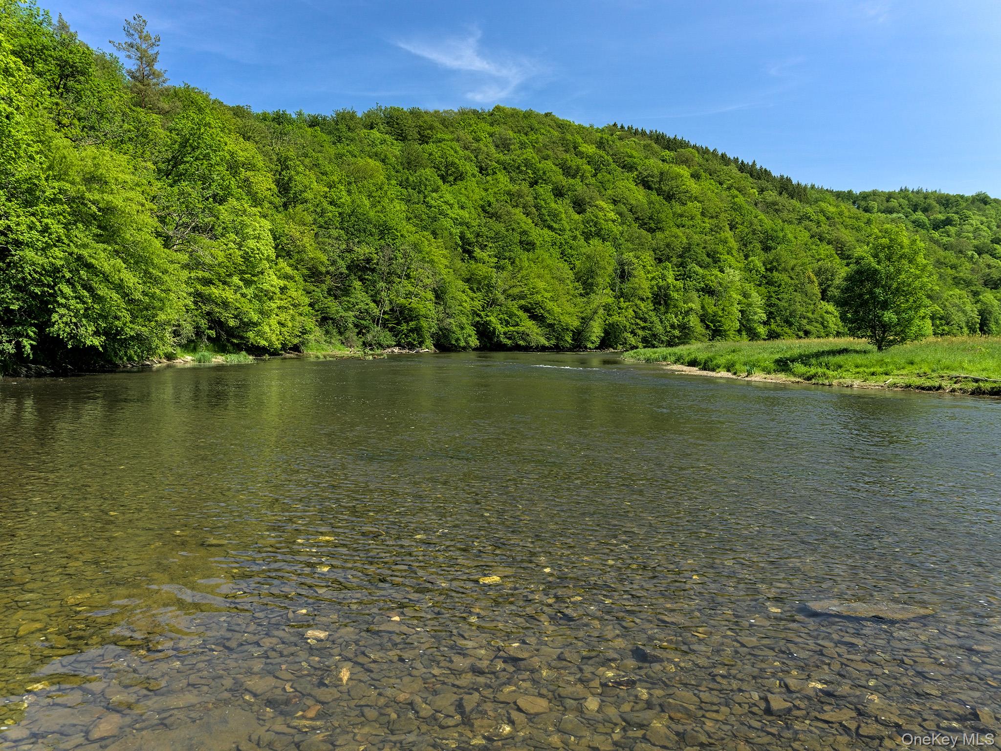 2220 Old Rte 17 Roscoe, NY 12776 - Photo 11 of 12