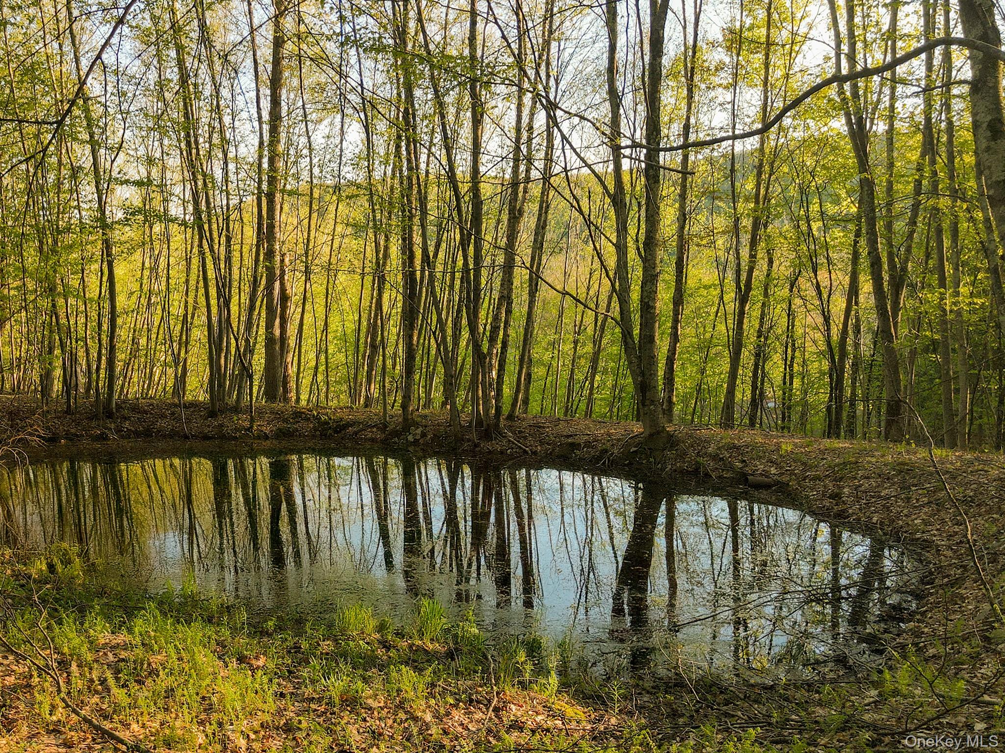 2220 Old Rte 17 Roscoe, NY 12776 - Photo 8 of 12