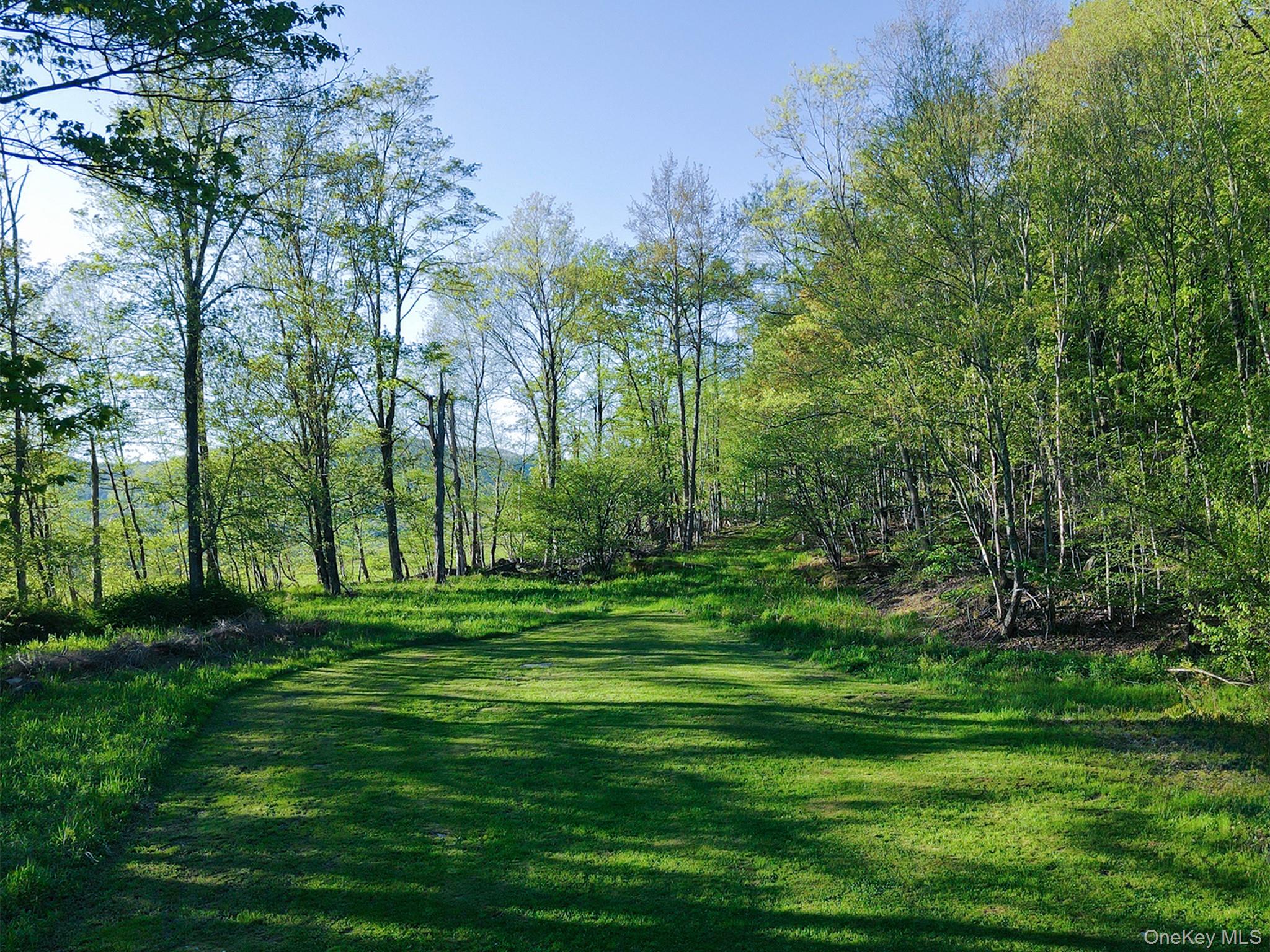 2220 Old Rte 17 Roscoe, NY 12776 - Photo 9 of 12