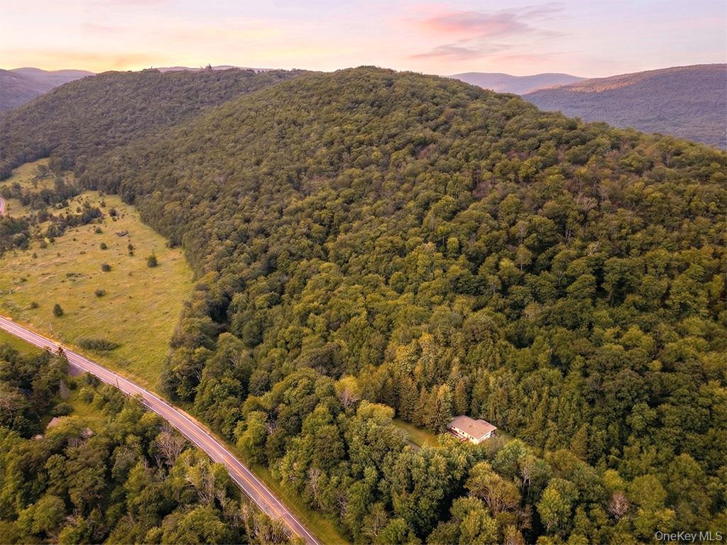 2220 Old Rte 17 Roscoe, NY 12776 - Photo 10 of 12