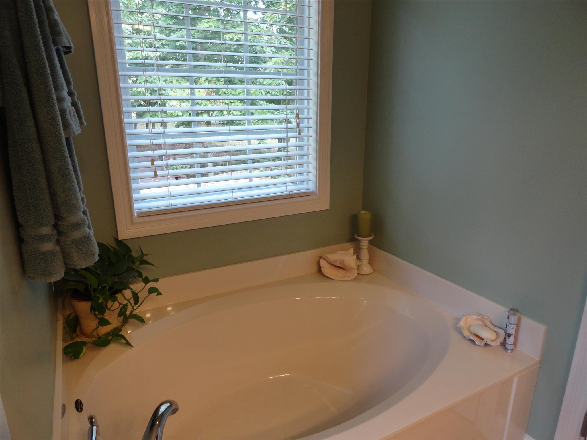 716 Heritage Road Lebanon, TN 37087 - Photo 25 of 30 & soaking tub!