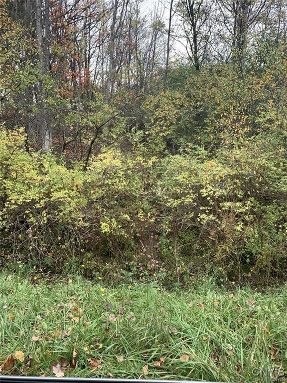 0 Martin Street Rome, NY 13440 - Photo 6 of 7