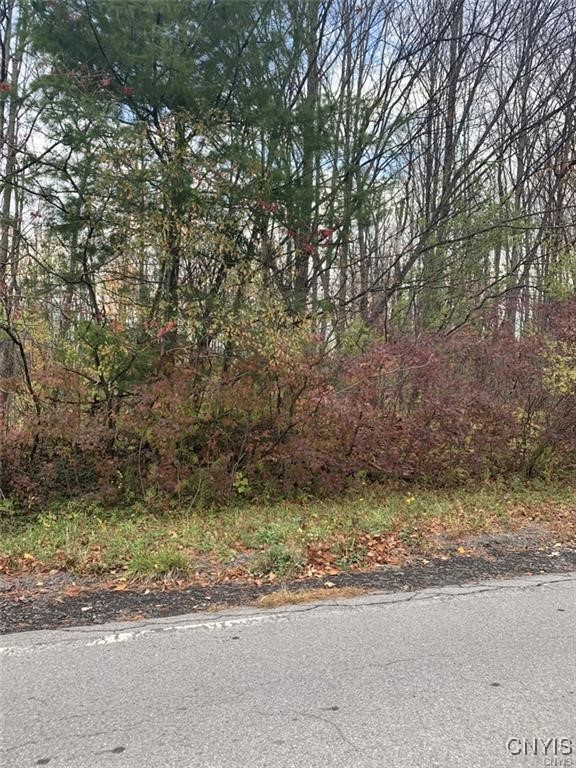 0 Martin Street Rome, NY 13440 - Photo 7 of 7