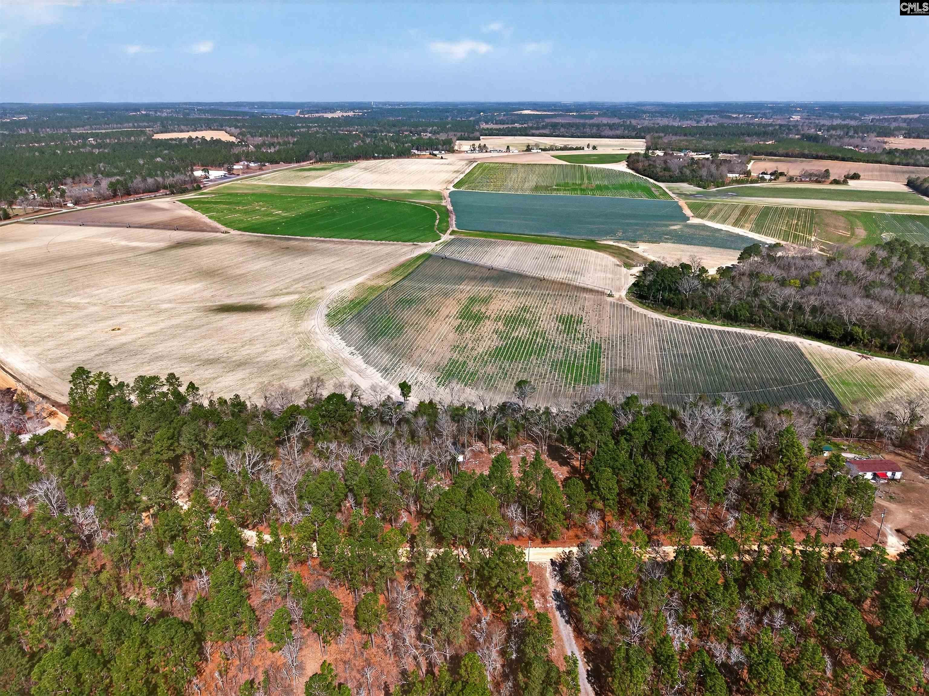 0 Rimrock Road Leesville, SC 29070 - Photo 4 of 11