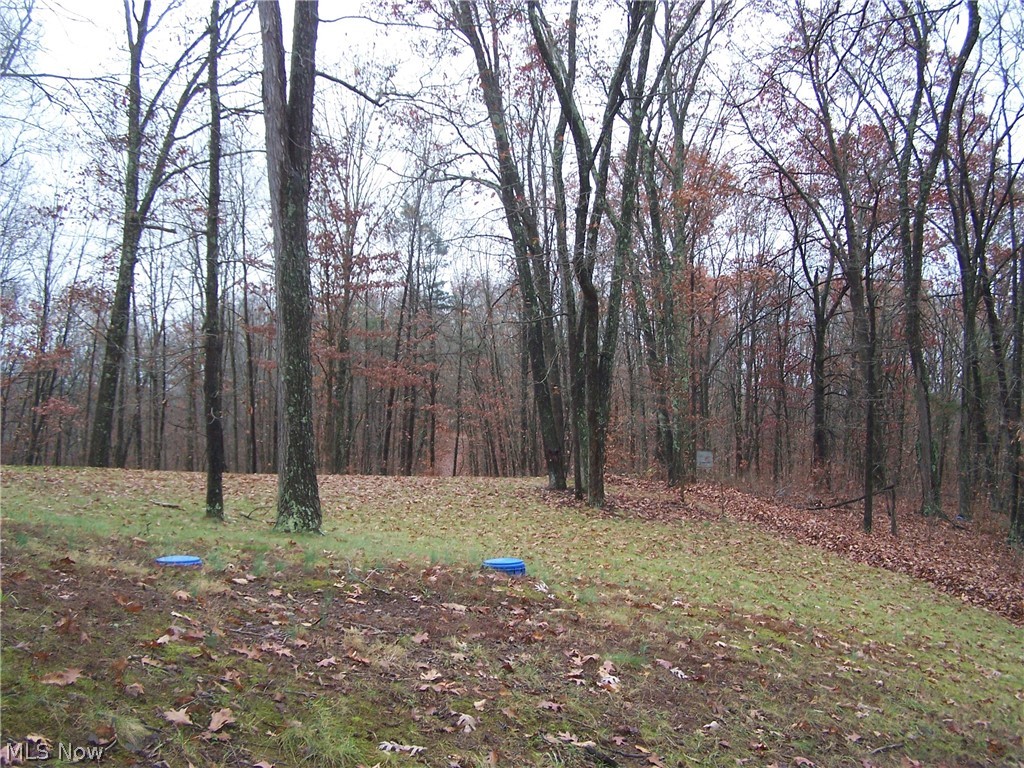 2619 Tick Ridge Road Vincent, OH 45784 - Photo 22 of 32 Gallery Image 22