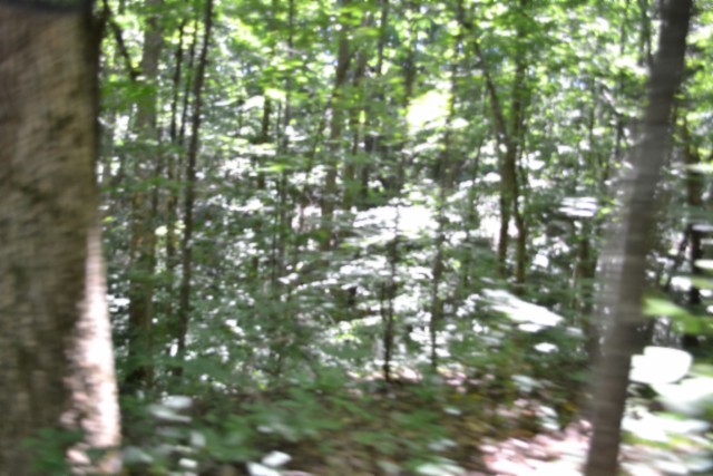 0 Pea Ridge Fire Tower Road Celina, TN 38551 - Photo 14 of 53
