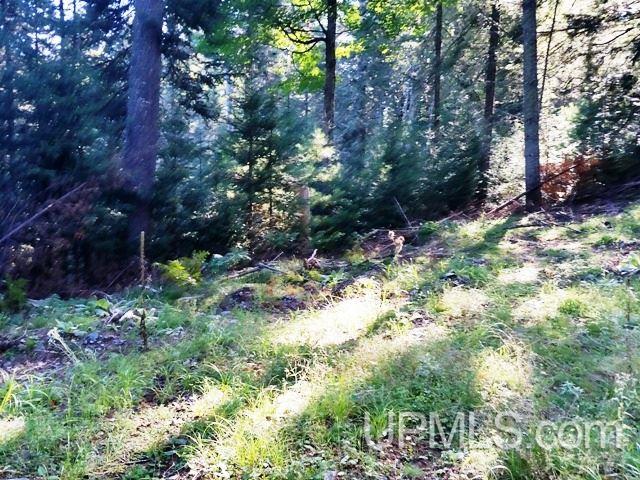 Tbd West Paint Lake Road, Unit J Iron River, MI 49935 - Photo 11 of 17
