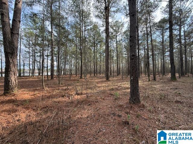 10 Club House Road, Unit 10 Sylacauga, AL 35150 - Photo 2 of 7