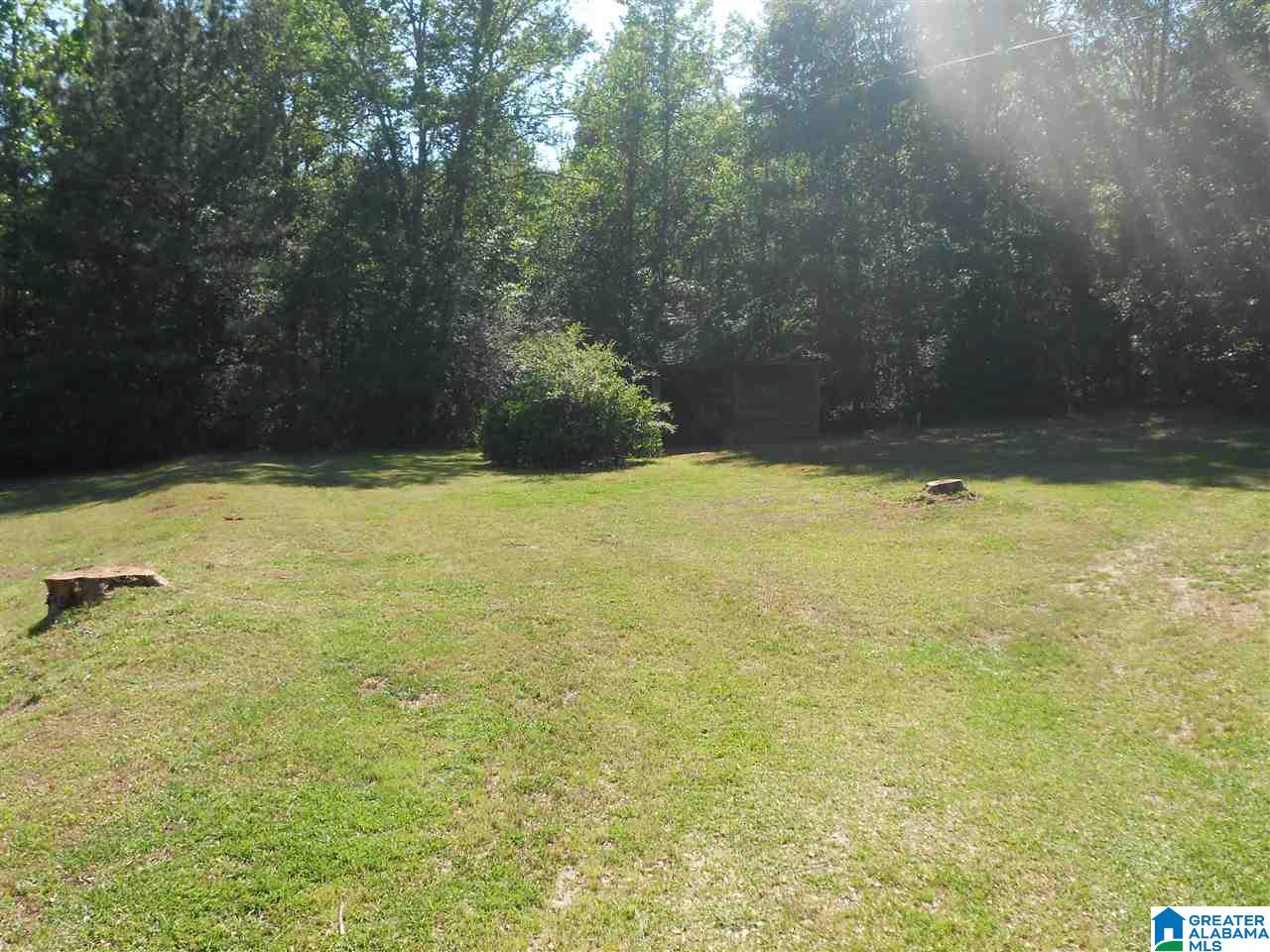 21789 Highway 11 Steele, AL 35987 - Photo 12 of 14