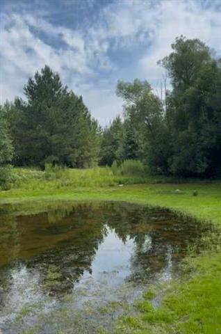 0 Dillon Road Kentwood, LA 70444 - Photo 4 of 6