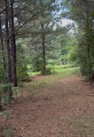 $109,999 | 0 Dillon Road, Kentwood, LA 70444