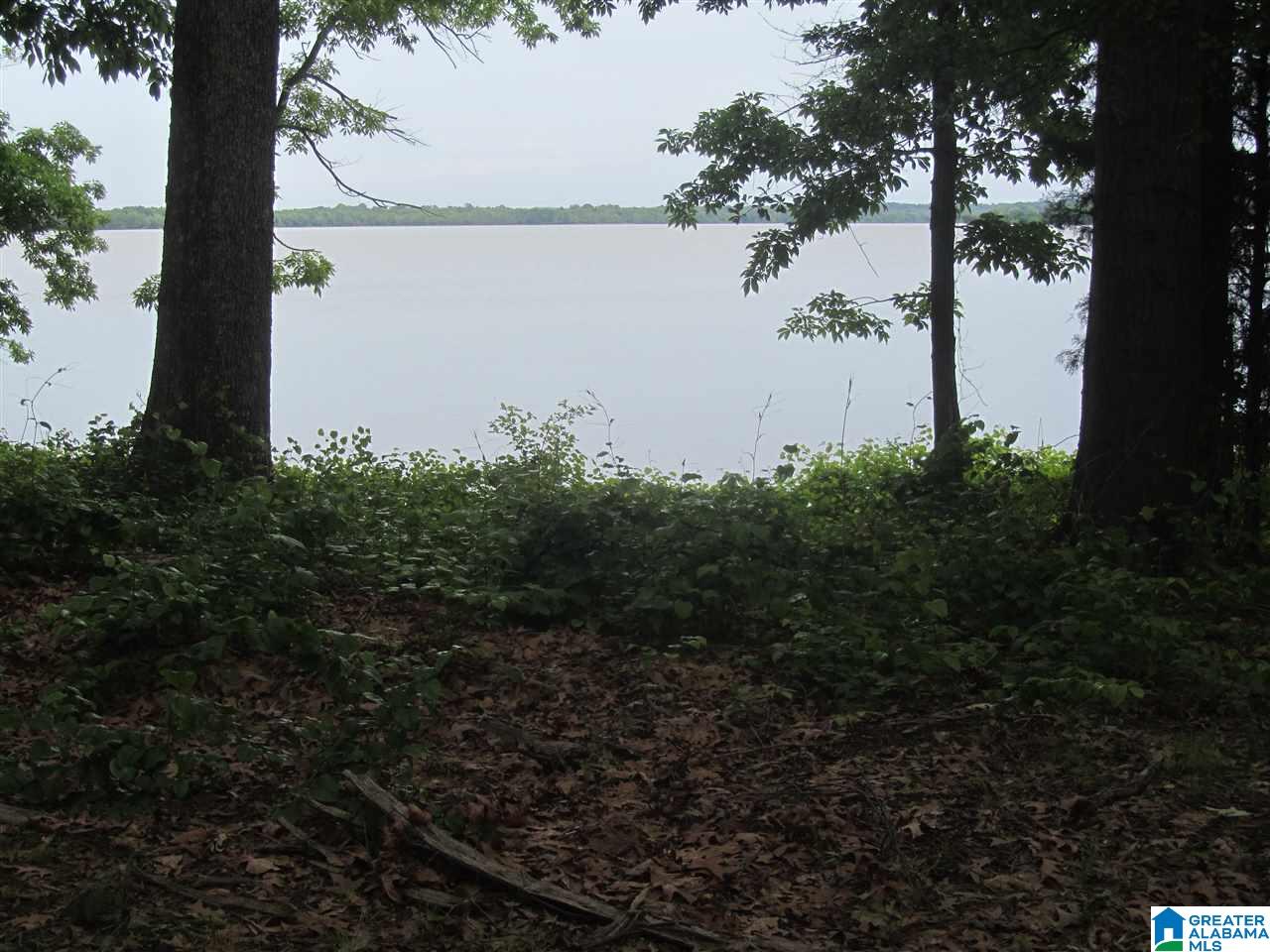 0 County Road 578, Unit 10 Centre, AL 35960 - Photo 13 of 15