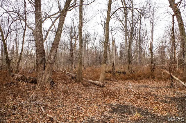 $13,500 | 0 Pike 202, Annada, MO 63330