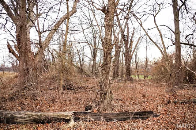 $13,500 | 0 Pike 202, Annada, MO 63330