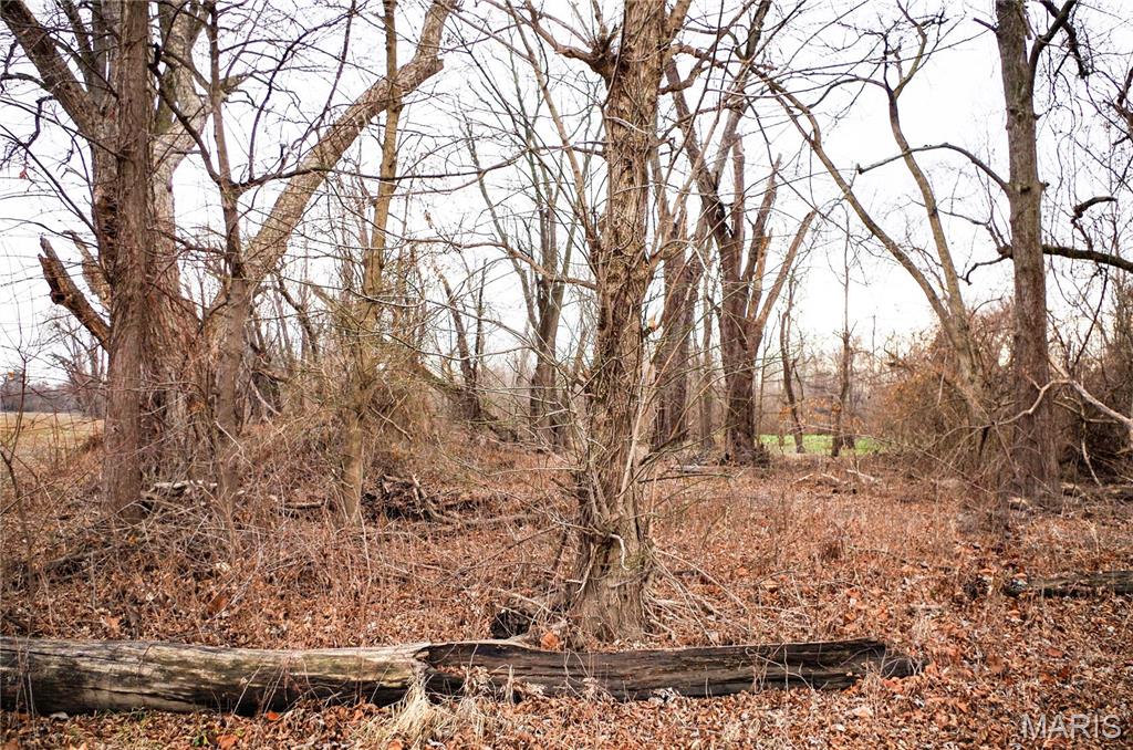 0 Pike 202 Annada, MO 63330 - Photo 2 of 3