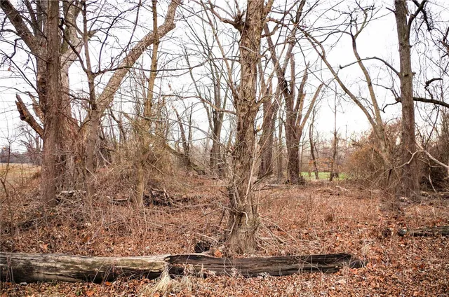 $13,500 | 0 Pike 202, Annada, MO 63330