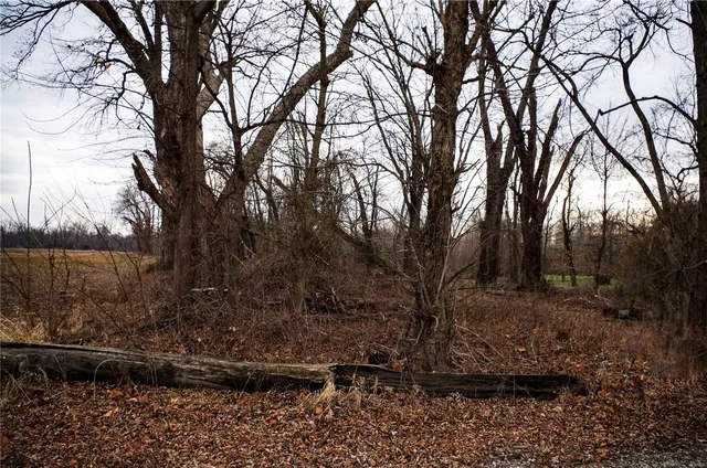 $13,500 | 0 Pike 202, Annada, MO 63330