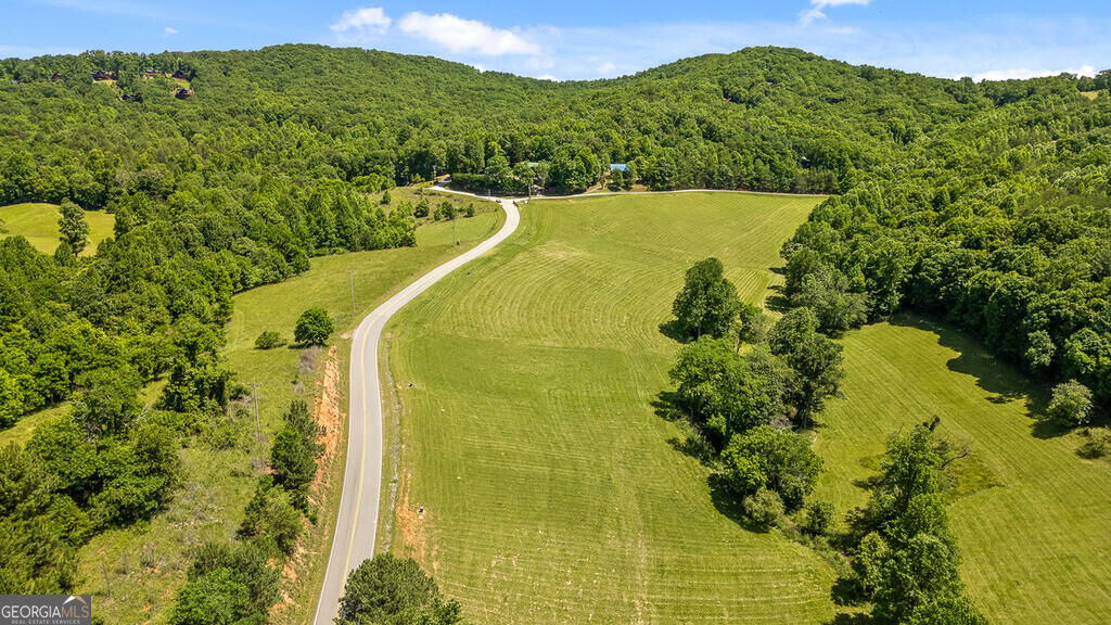 Lot 11 Squirrel Hunting Road Morganton, GA 30560 - Photo 4 of 14 Gallery Image 4