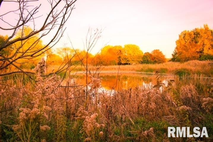 2100 California Road Pekin, IL 61554 - Photo 16 of 54 Gallery Image 16