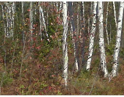 L4 Birch Ridge Road Machias, ME 04654 - Photo 3 of 3 Land/Lot.