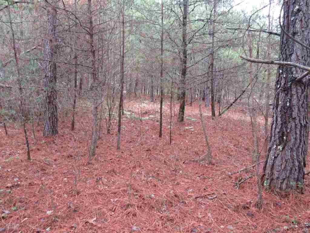 12 Table Rock Road, Unit LOT 44 MATTHEWS CREEK Cleveland, SC 29635 - Photo 3 of 16