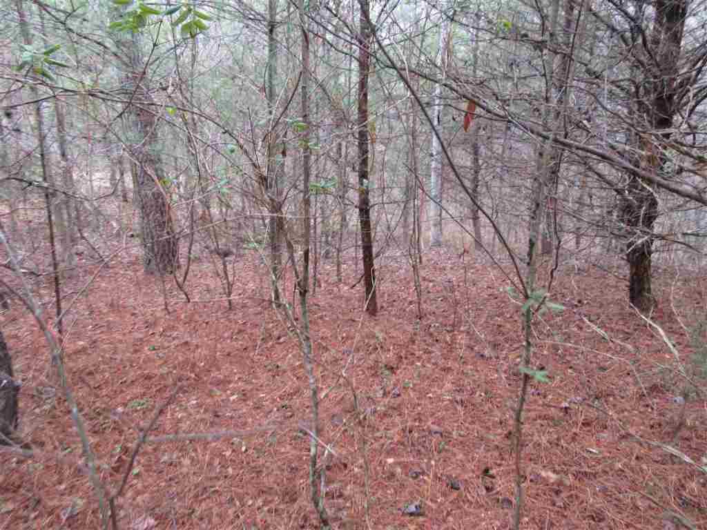 12 Table Rock Road, Unit LOT 44 MATTHEWS CREEK Cleveland, SC 29635 - Photo 4 of 16