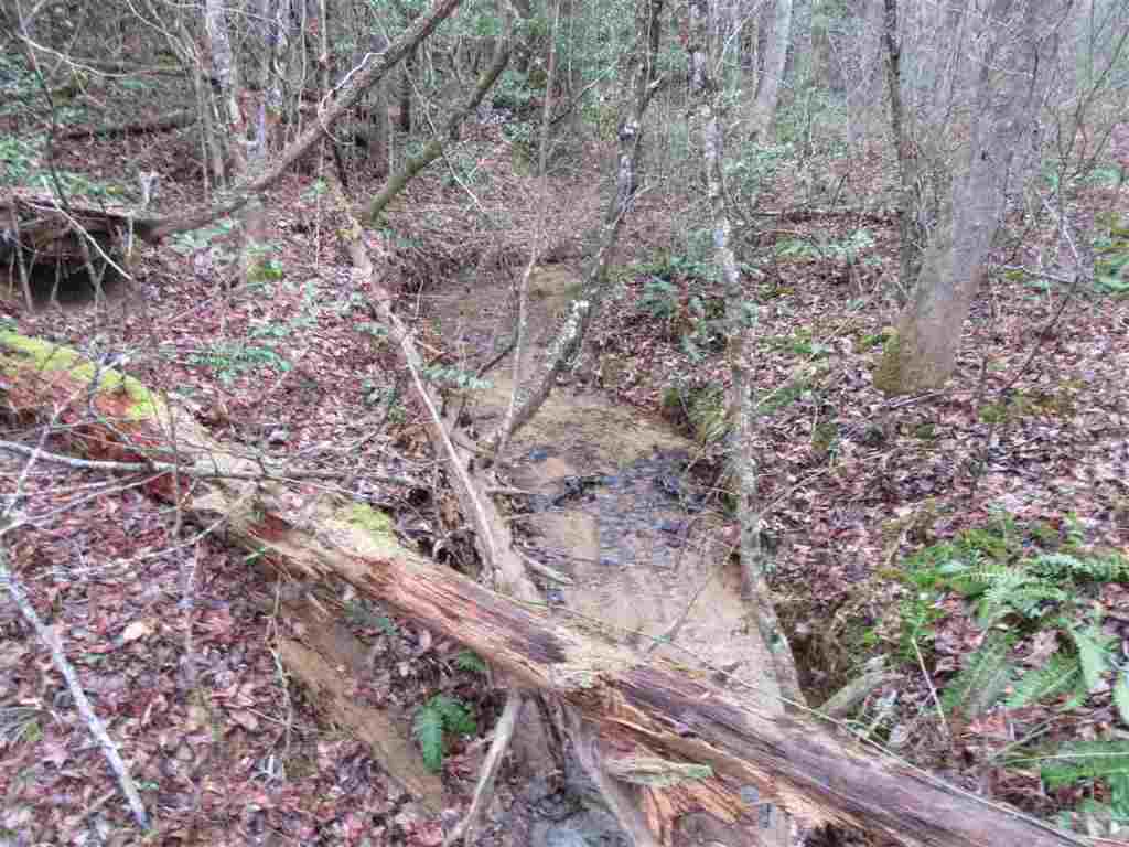 12 Table Rock Road, Unit LOT 44 MATTHEWS CREEK Cleveland, SC 29635 - Photo 8 of 16