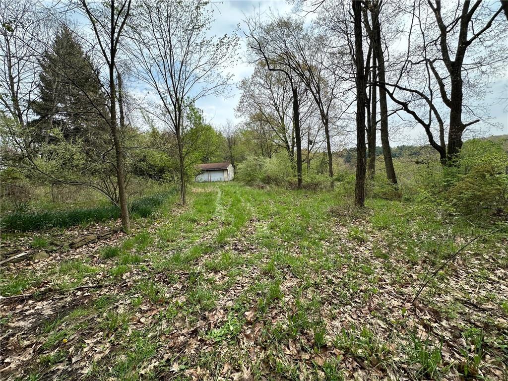 14 Ridge Road Burgettstown, PA 15021 - Photo 1 of 9 a big yard with lots of green space and trees