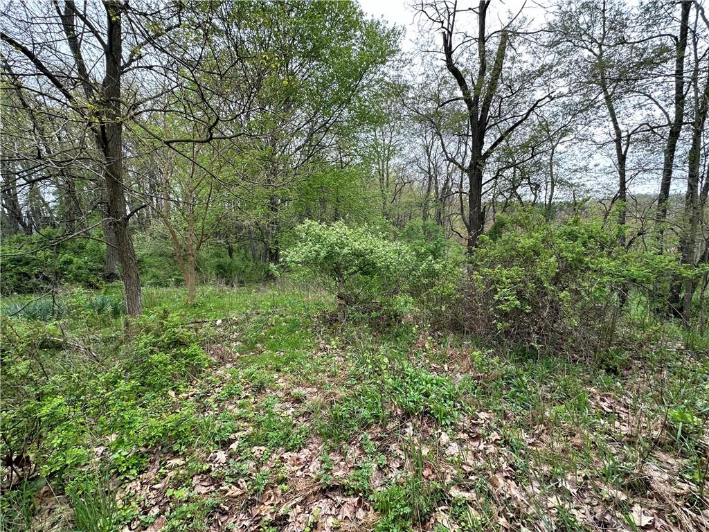 14 Ridge Road Burgettstown, PA 15021 - Photo 2 of 9 a view of a lush green forest