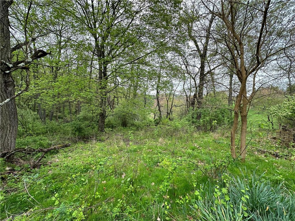 14 Ridge Road Burgettstown, PA 15021 - Photo 3 of 9 a view of a green field with lots of bushes