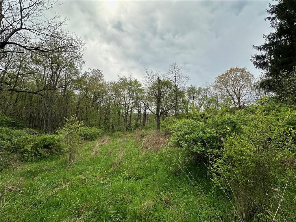 14 Ridge Road Burgettstown, PA 15021 - Photo 6 of 9 a view of a lush green space