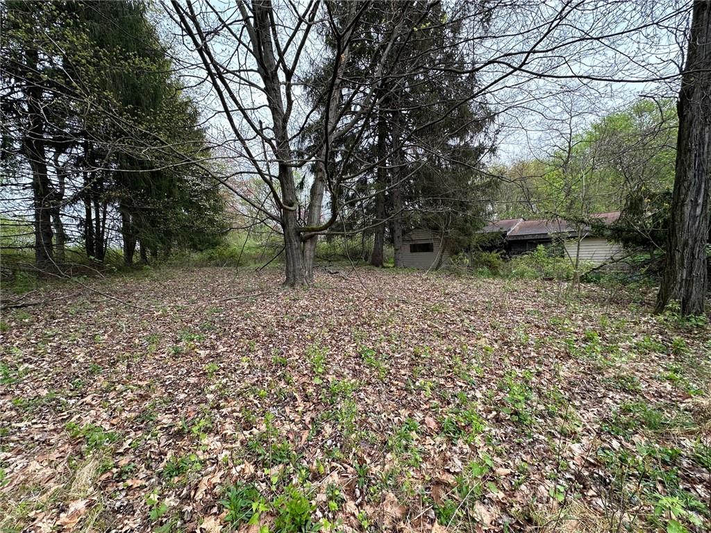 14 Ridge Road Burgettstown, PA 15021 - Photo 8 of 9 a backyard of a house with lots of plants and large tree