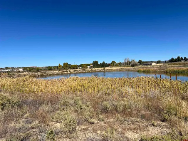 a view of a lake with houses in the back