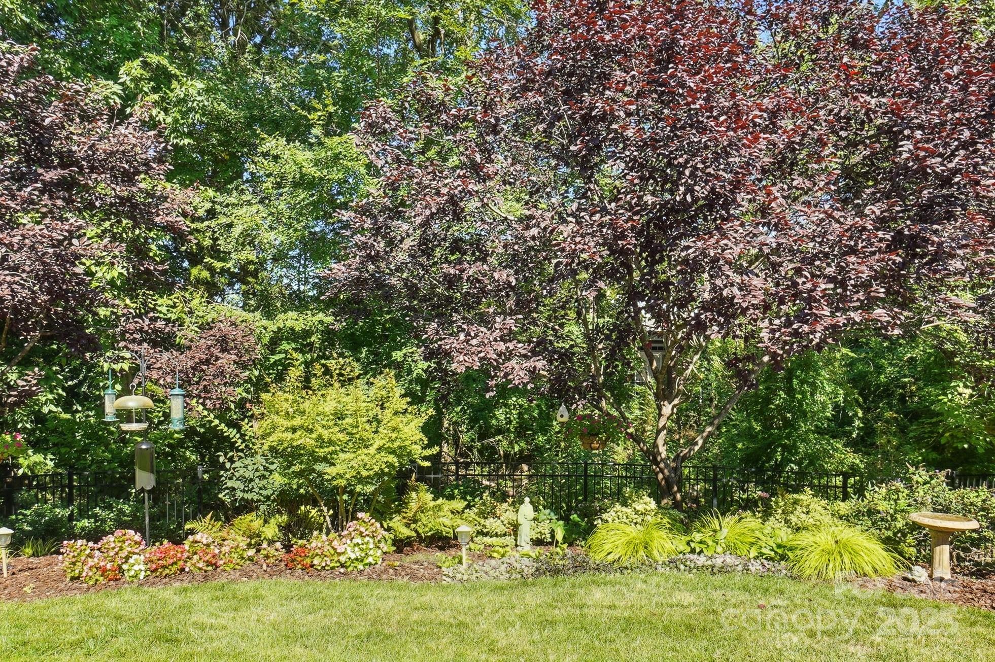 10906 Round Rock Road Charlotte, NC 28277 - Photo 43 of 45 a view of yard with green space
