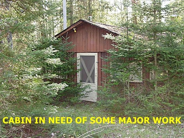 1874 9 Mile Road Sears, MI 49679 - Photo 5 of 11 Additional Photo