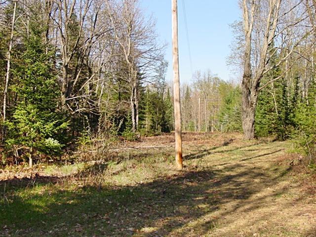 1874 9 Mile Road Sears, MI 49679 - Photo 6 of 11 Additional Photo