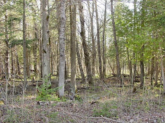 1874 9 Mile Road Sears, MI 49679 - Photo 9 of 11 Additional Photo