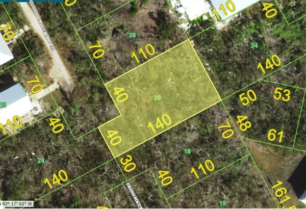 a close up of a tree