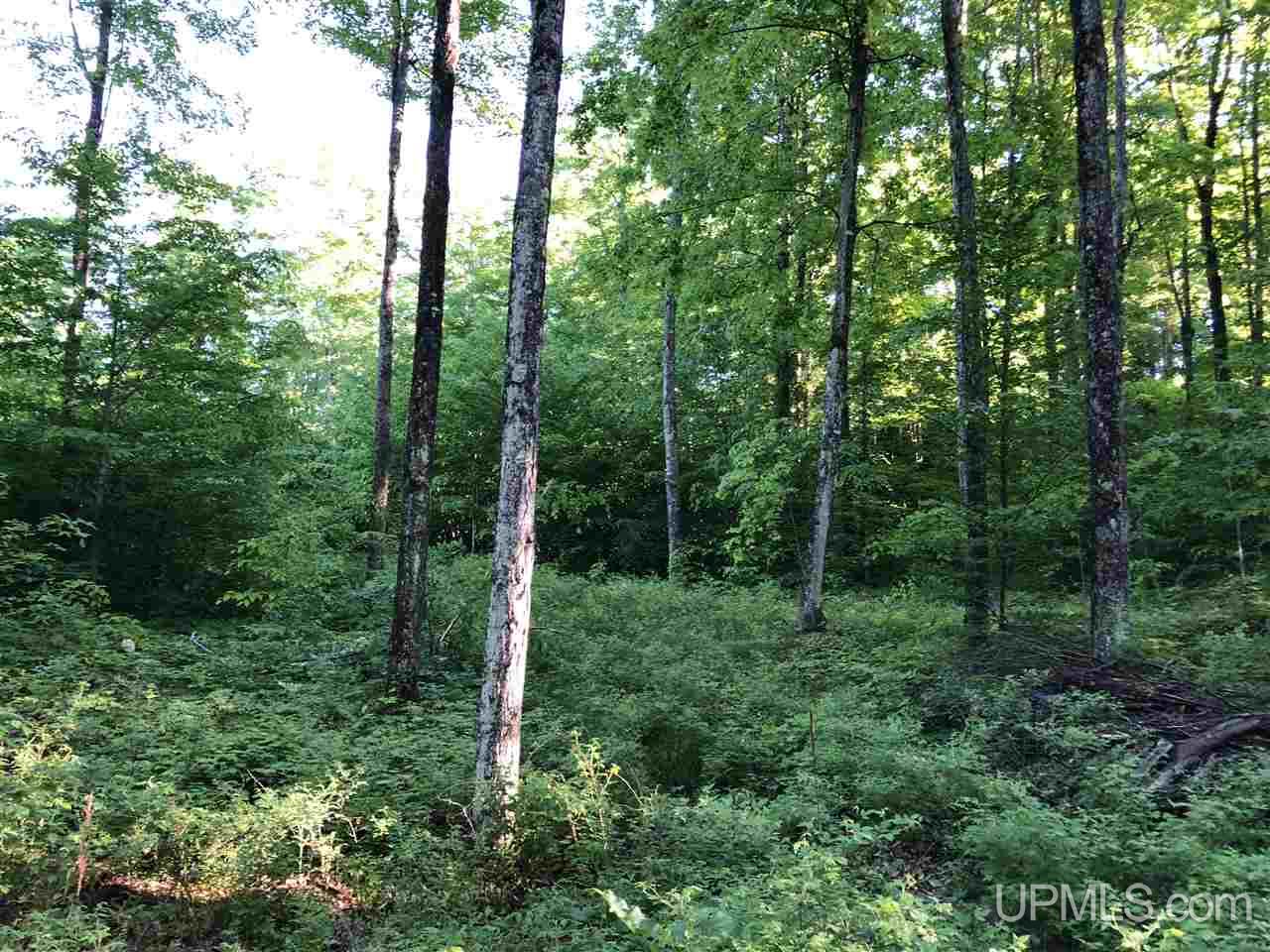 2353 Co Rd 442 Rapid River, MI 49878 - Photo 14 of 20