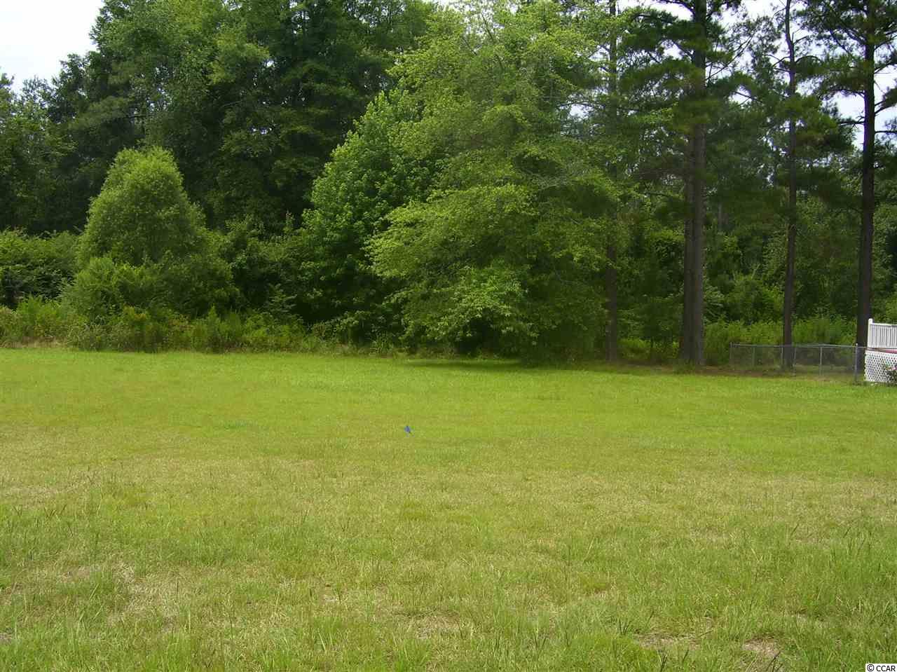 351 Bright Leaf Road Loris, SC 29569 - Photo 17 of 22 Gallery Image 17