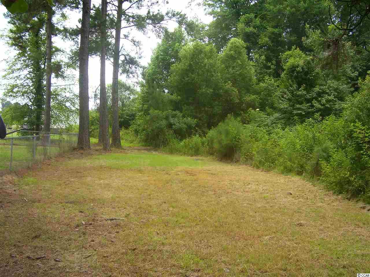 351 Bright Leaf Road Loris, SC 29569 - Photo 18 of 22 Gallery Image 18