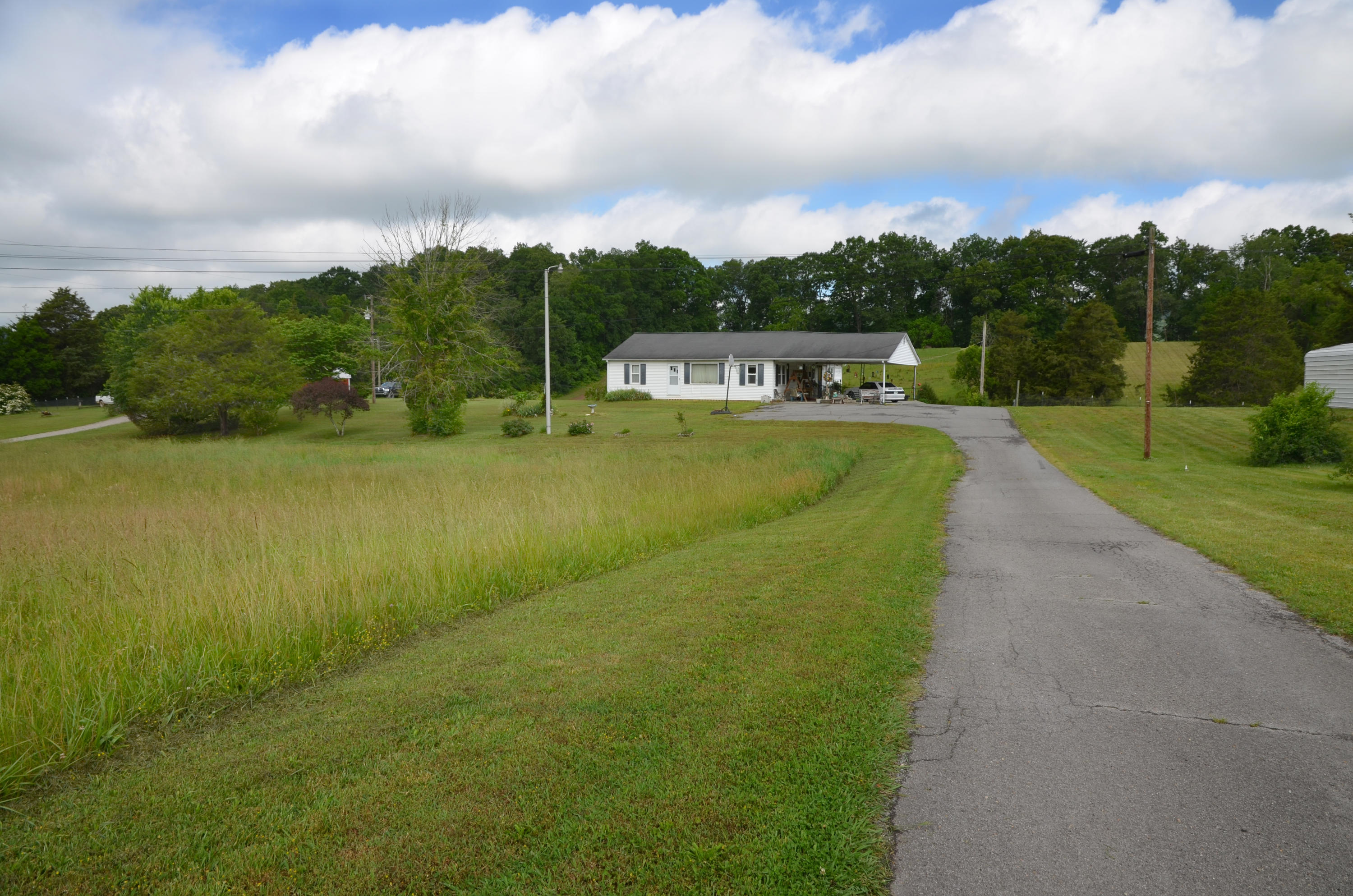 8523 Trout Road Mascot, TN 37806 - Photo 2 of 20 Front Yard