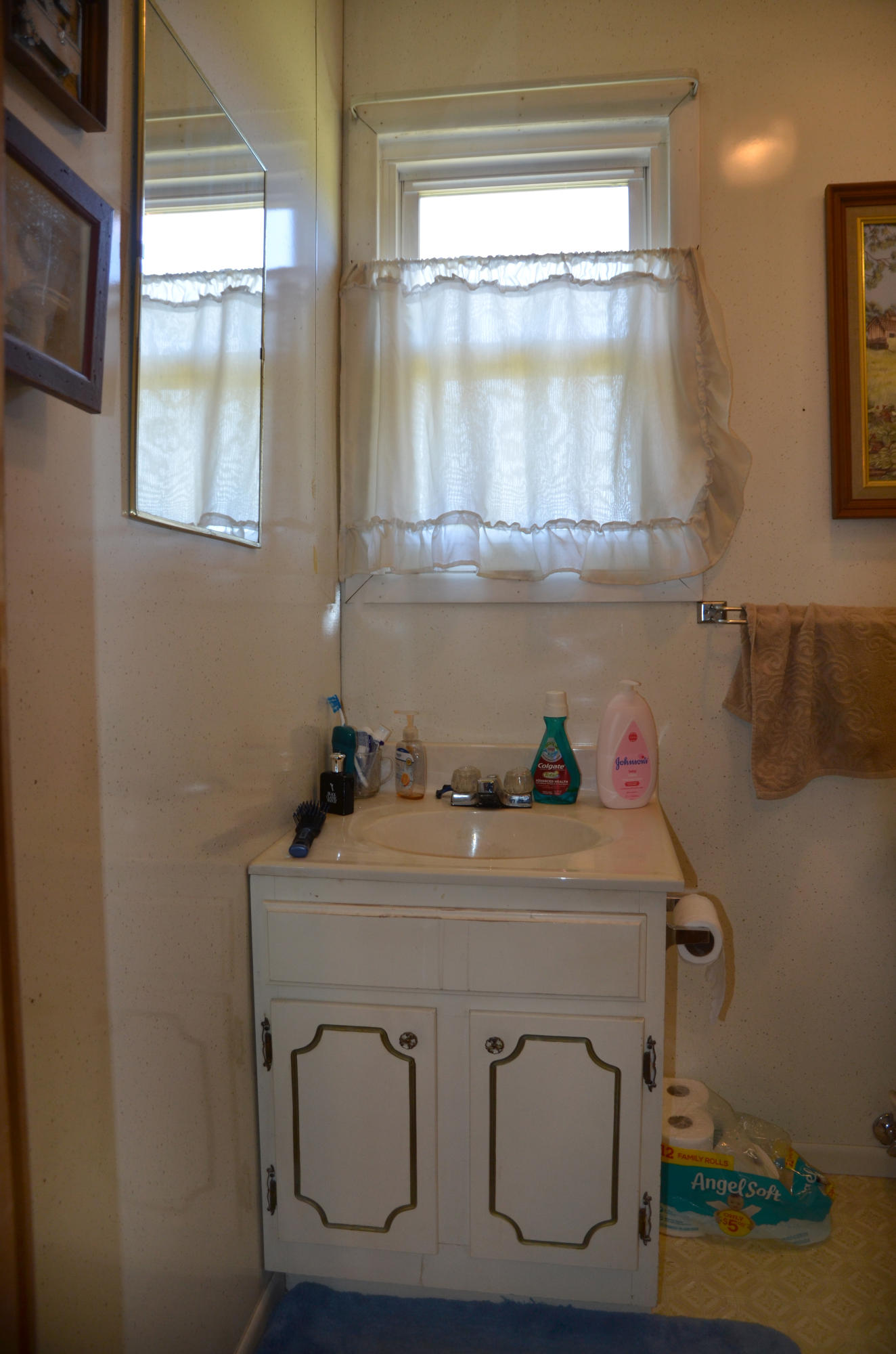 8523 Trout Road Mascot, TN 37806 - Photo 12 of 20 Master Bathroom
