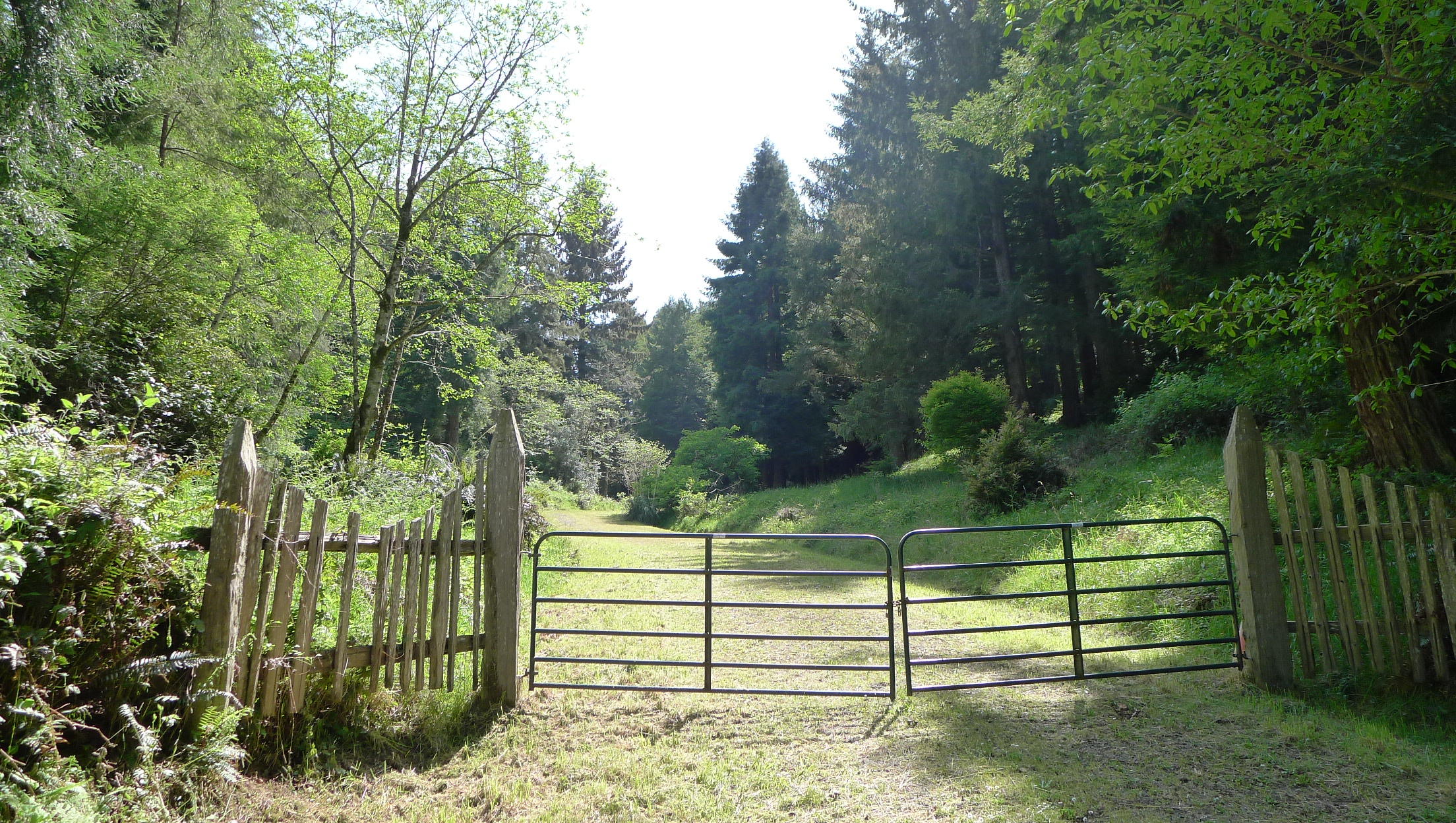 Gate at MAY rd