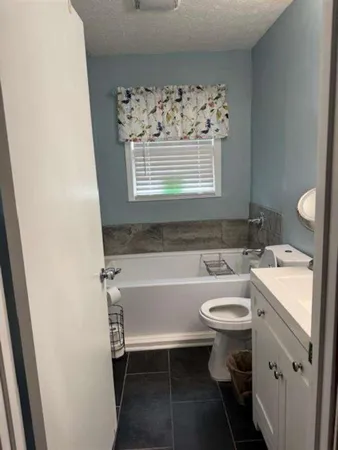 a bathroom with a sink toilet and a bathtub