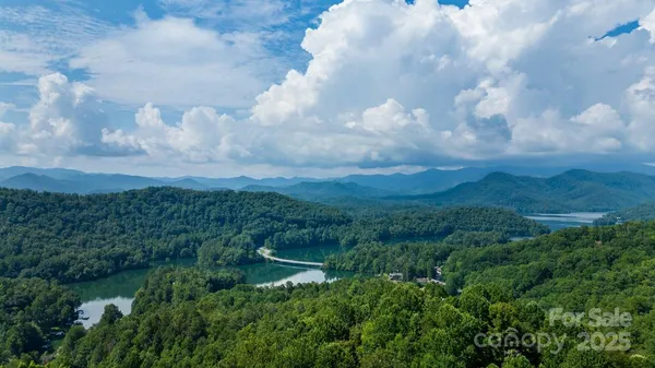 a view of a city with lush green forest