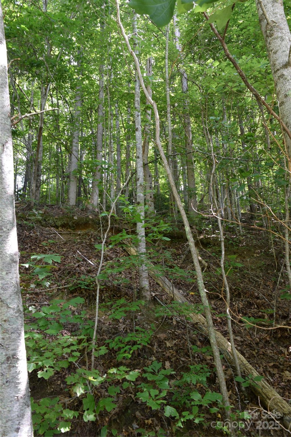 Tbd Hideaway Ridge Trail, Unit 33 & 33A Robbinsville, NC 28771 - Photo 11 of 13 a backyard of a house with lots of green space